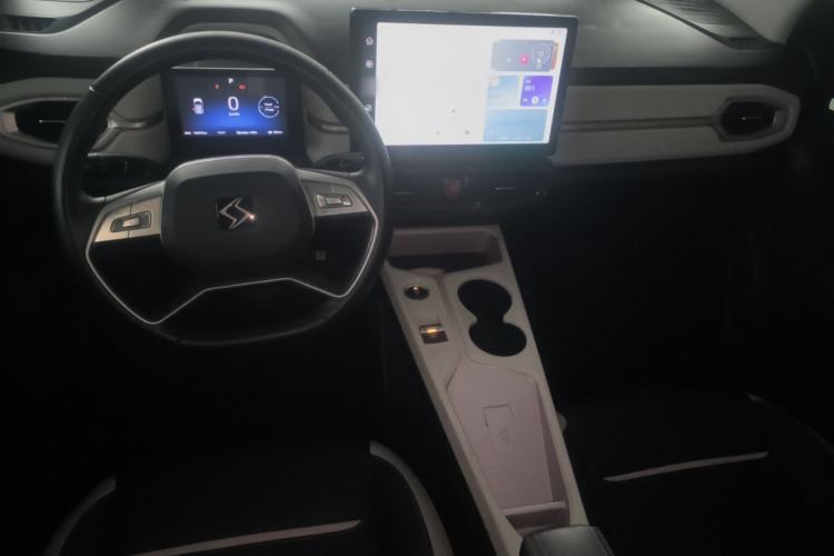 Used SOL E10X 2022 Flower Fairy Style Baby's Breath