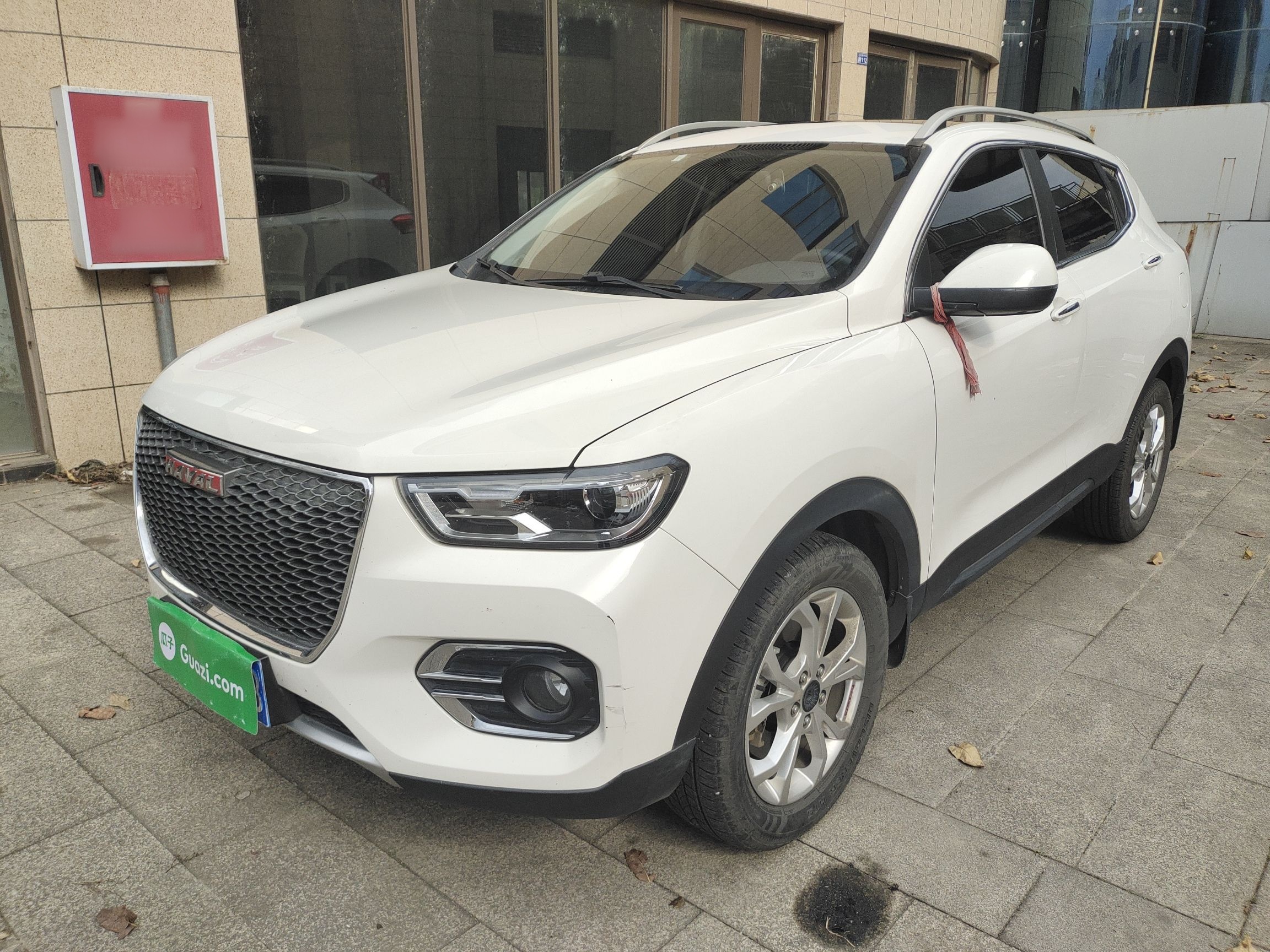 Parte inferior delantera