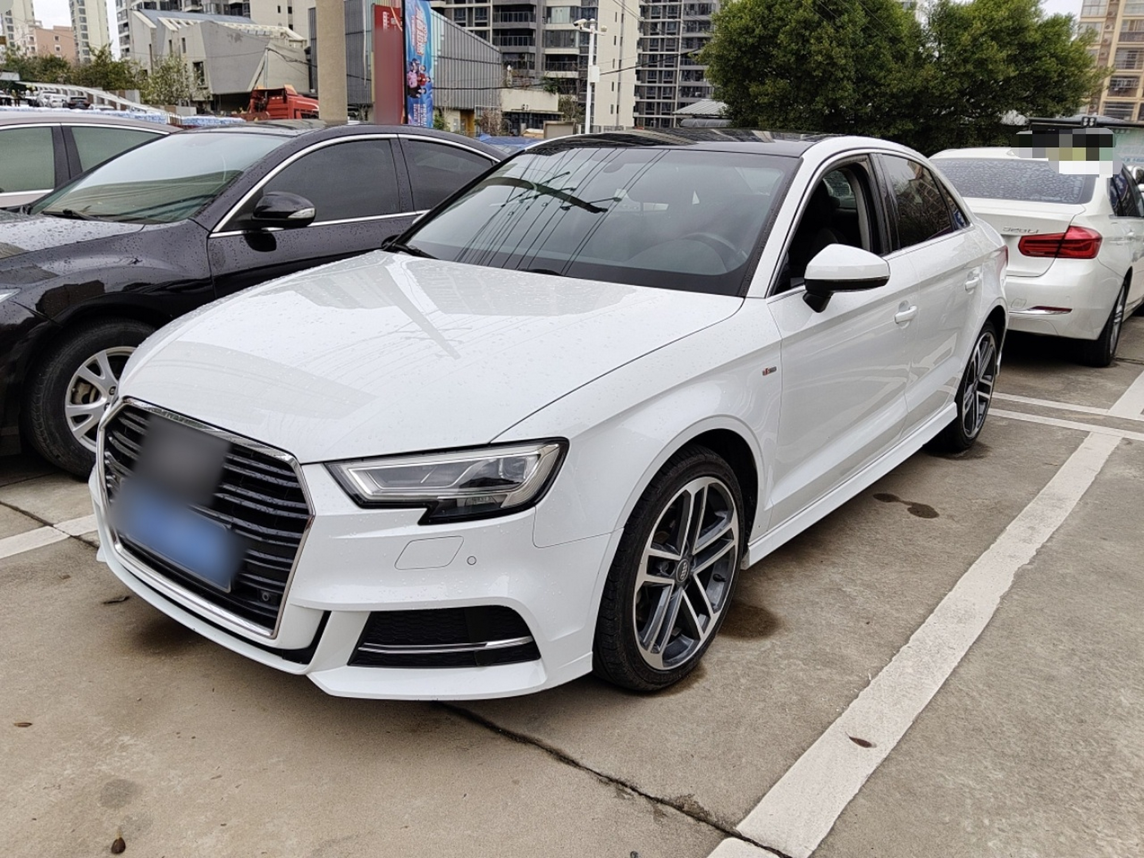 Parte inferior delantera