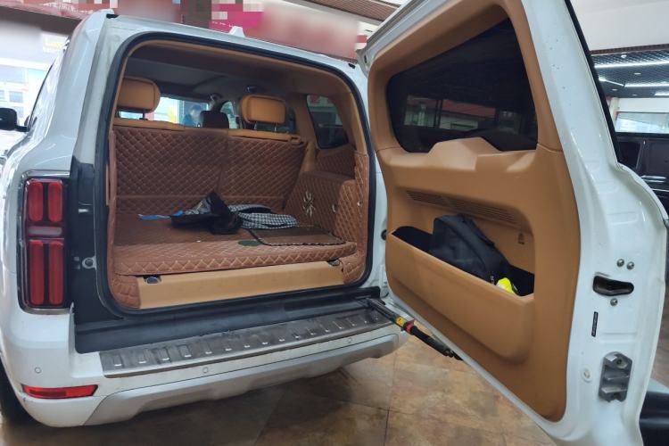 Used Tank 500 New Energy 2023 Hi4-T