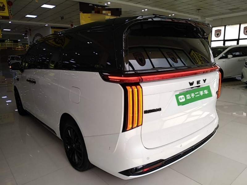Used Wey Gaoshan 2025 Four-Wheel Drive Alpine 8 — 4