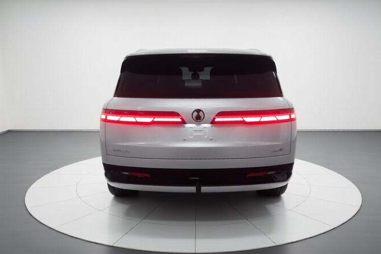 Used Denza N9 2025 Prestige Version