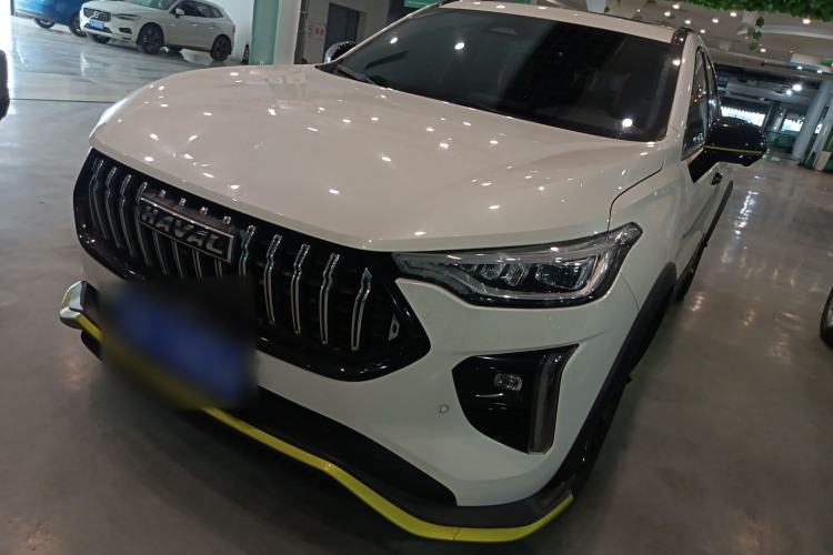 Used Haval LHERY 2021 High-Performance Version 1.5T Golden Rabbit