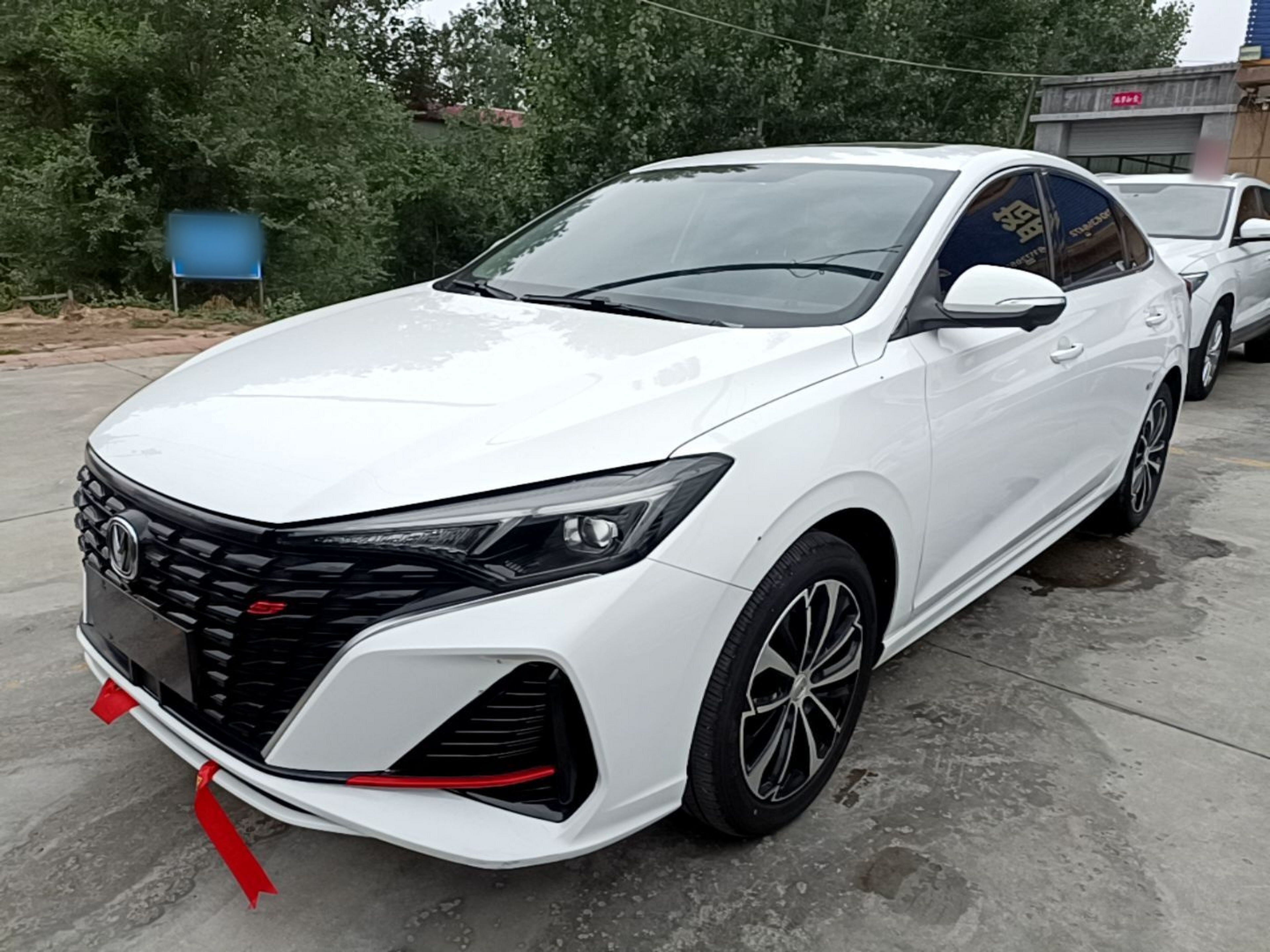 Under Front Bumper