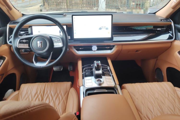 Used Tank 500 New Energy 2023 Hi4-T Center Console