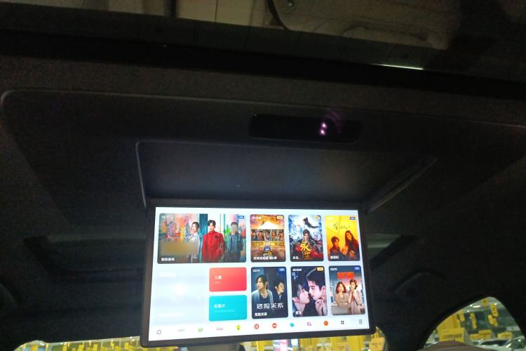 Used Li Auto L9 2022 Max model Headliner