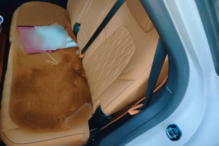 Used BYD Tang New Energy 2022 DM-i 252km Luxury Model Left Rear Seat