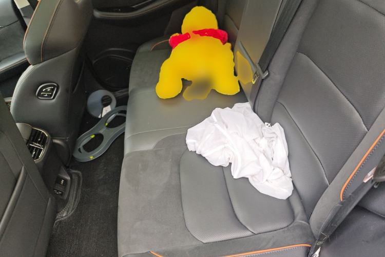 Used Skyworth EV6 2021 520 Smart Edition
