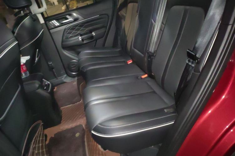 Used Tank 300 2021 City Edition 2.0T Essential Model
