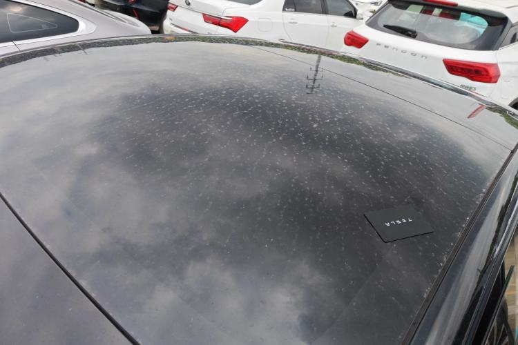 Used Tesla Model 3 2022 Rear-Wheel-Drive Version Roof