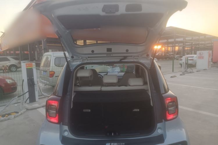 Used SOL E10X 2022 Flower Fairy Design Four-Leaf Clover
