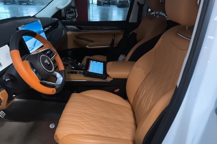 Used Tank 500 New Energy 2025 Hi4-Z Left Front Seat