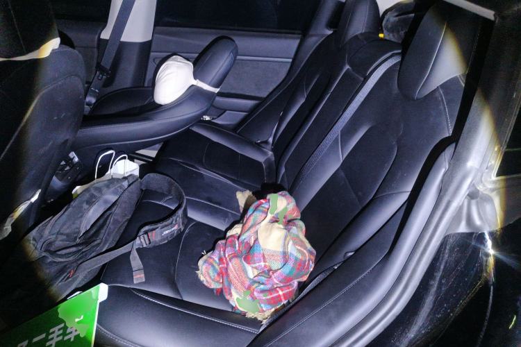 Used Tesla Model 3 2022 Rear-Wheel-Drive Version