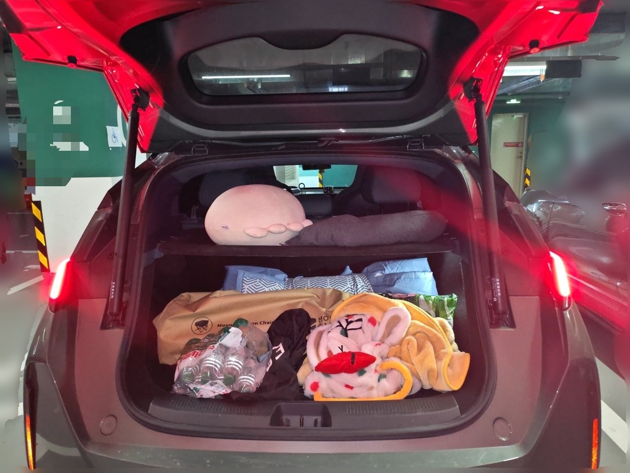 Zeekr X 2023 Rear-Drive ME Version 5 Seats — снимка 19