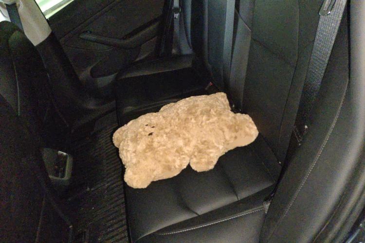 Used Tesla Model 3 2022 Rear-Wheel-Drive Version Left Rear Seat