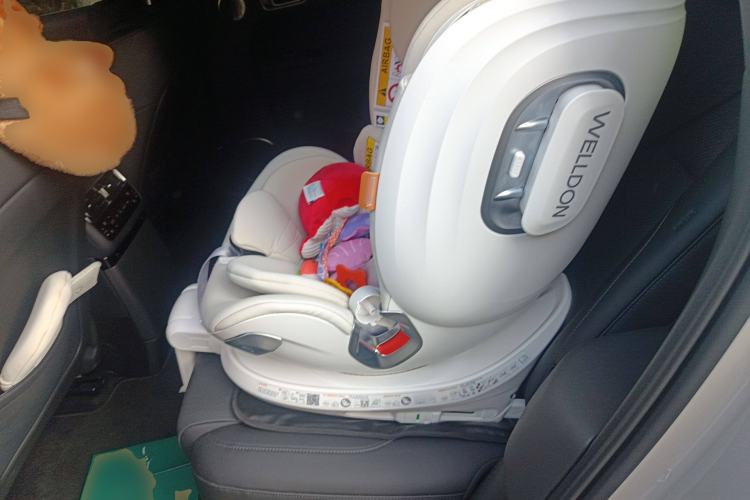 Used Li Auto L6 2024 Max Left Rear Seat