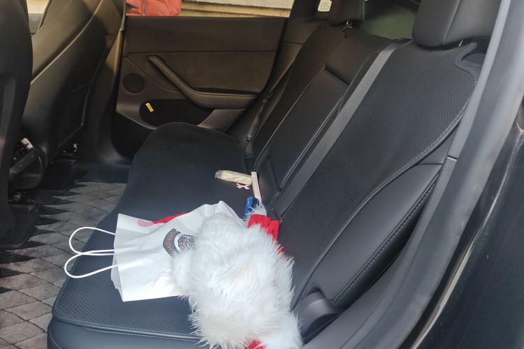 Used Tesla Model Y 2024 Rear-Wheel-Drive Version Left Rear Seat