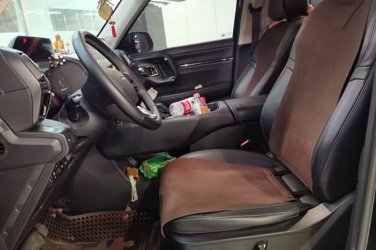 Used Haval H Dog New Energy 2023 DHT-PHEV 105km Tide Electric Version Plus Left Front Seat