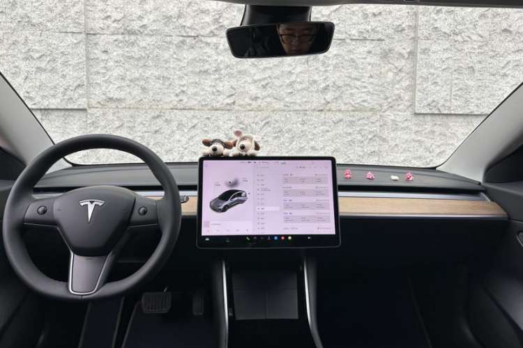 Used Tesla Model 3 2020 Revised Version Standard Range Rear-Wheel Drive – Upgraded Edition