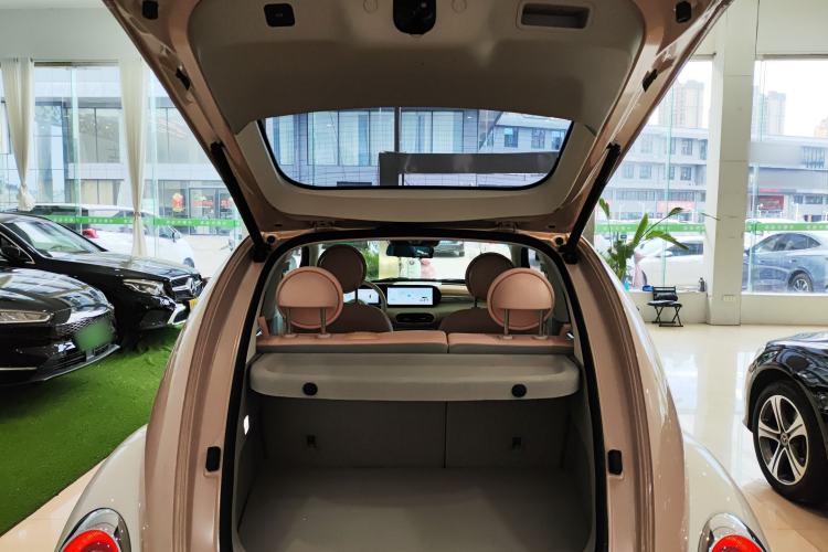 Used ORA Ballet Cat 2022 401 km Nutcracker Edition