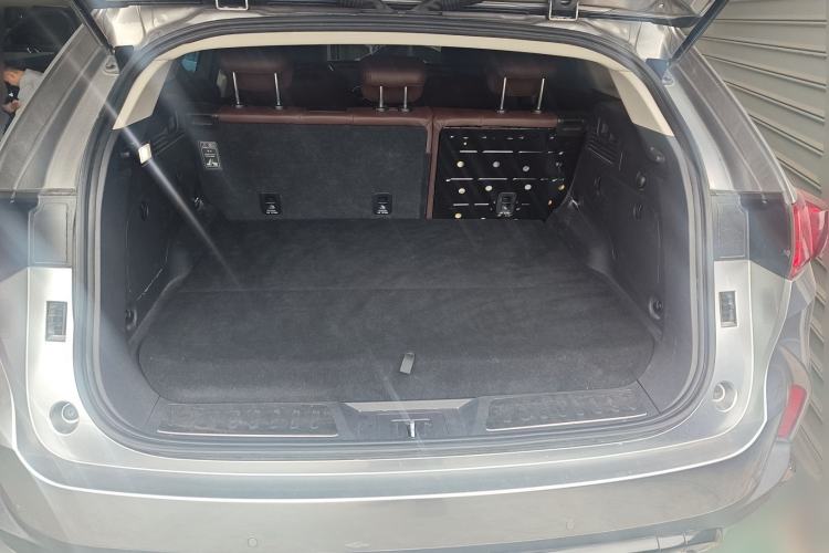 Used Wey P8 2018 2.0T Prestige Version
