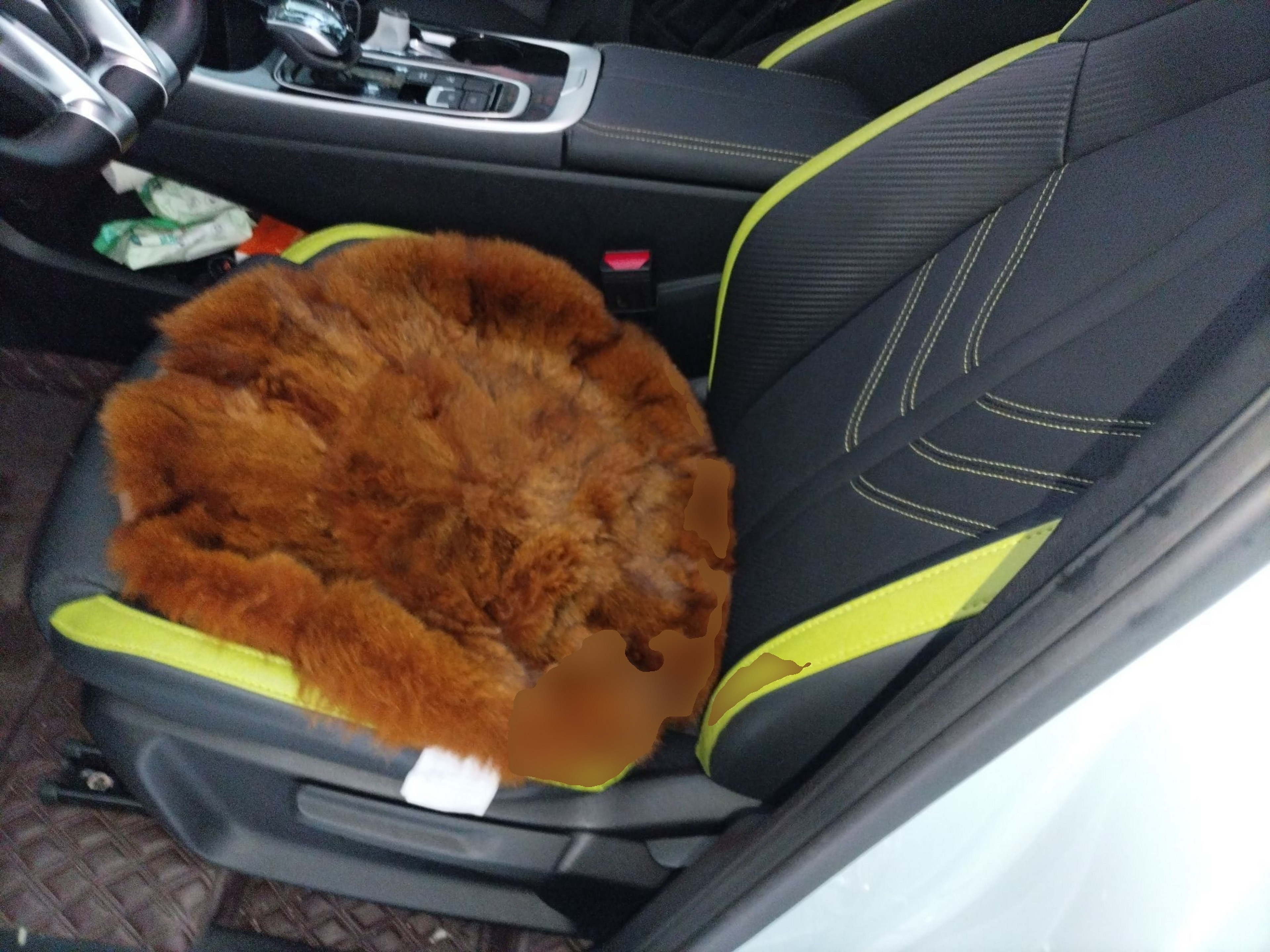 المقاعد الأمامية داخل السيارة