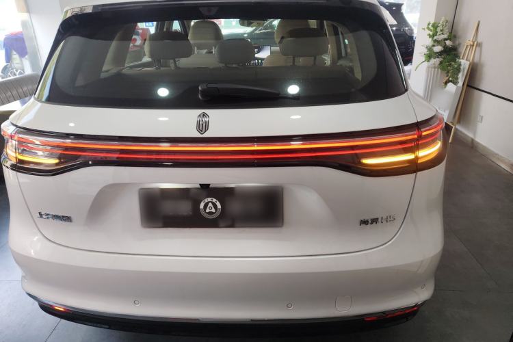 Used Hima H5 2025 Model Pure Electric Max