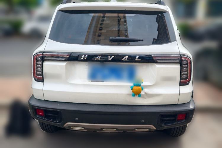 Used Haval DARGO 2022 1.5T DCT Two-Wheel Drive Labrador Edition
