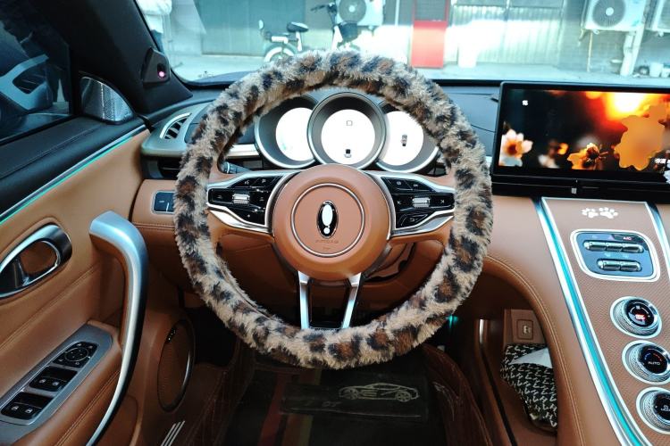 Used ORA Lightning Cat 2022 555 km Luxury Edition
