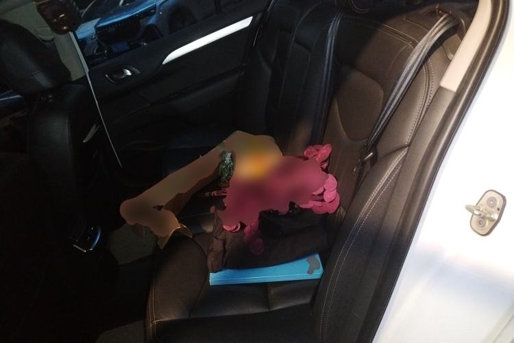 Used Citroen C4L 2016 1.6T Automatic Elite Model Left Rear Seat