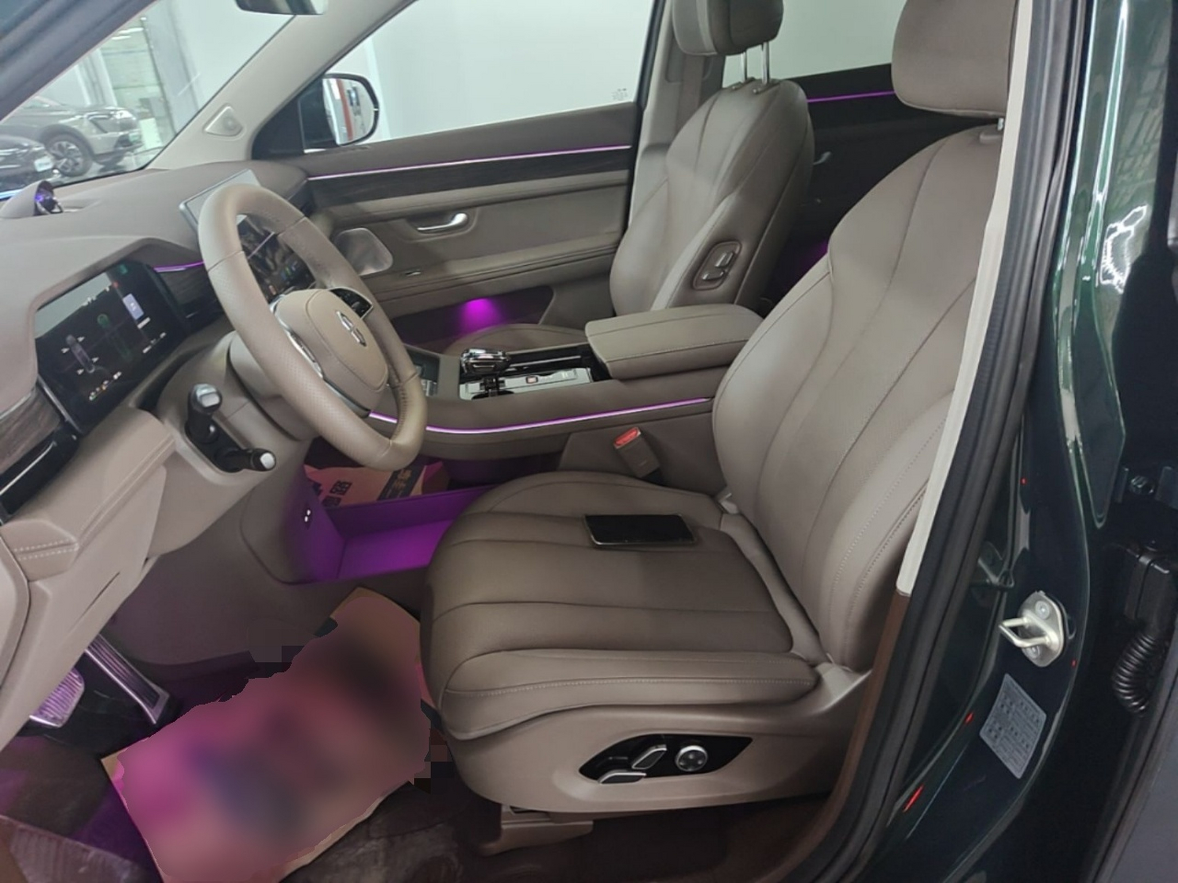 Interior delantero