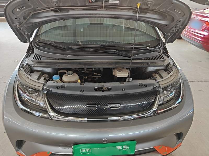 Used BYD Dolphin 2021 405 km Fashion Edition — 19