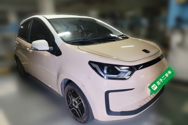 Used SOL E10X 2022 Flower Fairy Design Four-Leaf Clover
