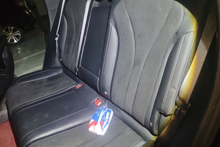 Used Geely Auto Monjaro L 2024 2.0TD High-Power Automatic Two-Wheel Drive Skyline Edition Left Rear Seat