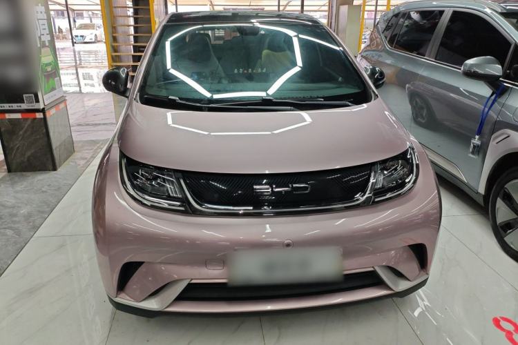 Used BYD Dolphin 2021 405 km Fashion Edition Front
