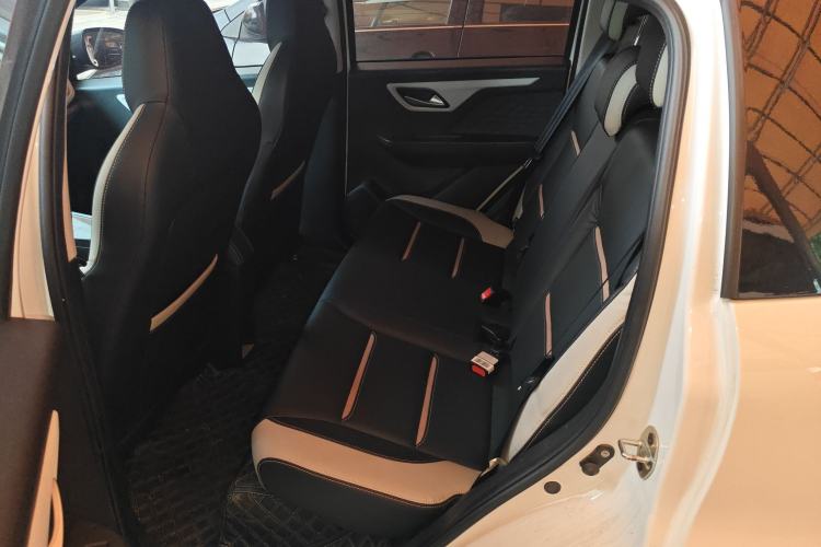 Used SOL E10X 2022 Flower Fairy Design Four-Leaf Clover Left Rear Seat