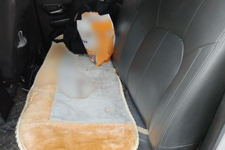 Used Great Wall Wingle 7 2021 2.0T Diesel Two-Wheel Drive Elite Version Big Double GW4D20M
