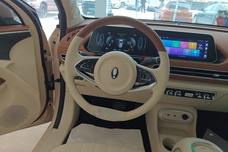 Used ORA Good Cat 2023 401 km Standard Range Luxury Version Lithium Iron Phosphate