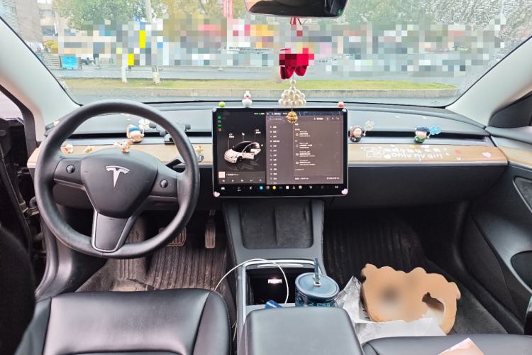 Used Tesla Model 3 2022 Rear-Wheel-Drive Version