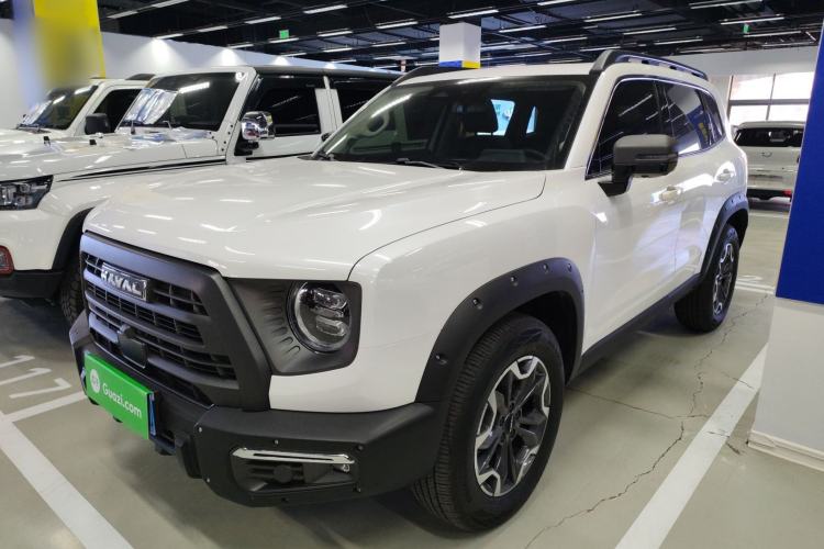 Used Haval DARGO 2024 2.0T DCT Chinese Rural Dog Edition
