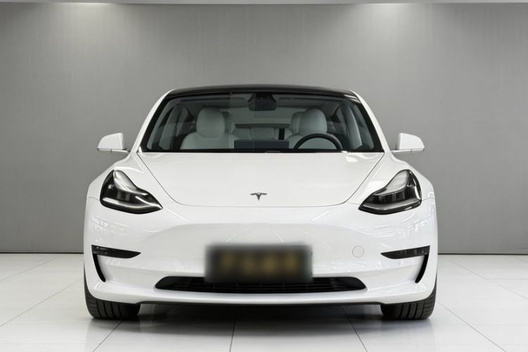 Used Tesla Model 3 2020 Standard Range Rear-Wheel Drive Upgraded Version