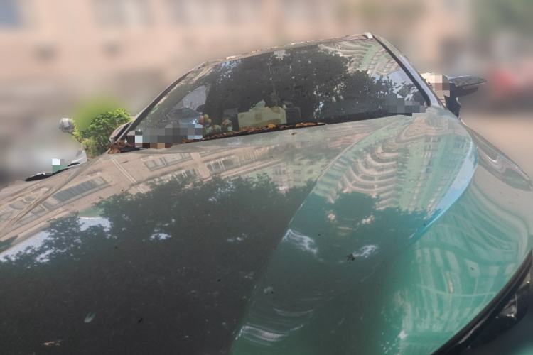 Used BYD Tang New Energy 2018 DM 2.0T All-Wheel Drive Smart Connectivity Luxury Model 7 Seats China V Emission Standard Front