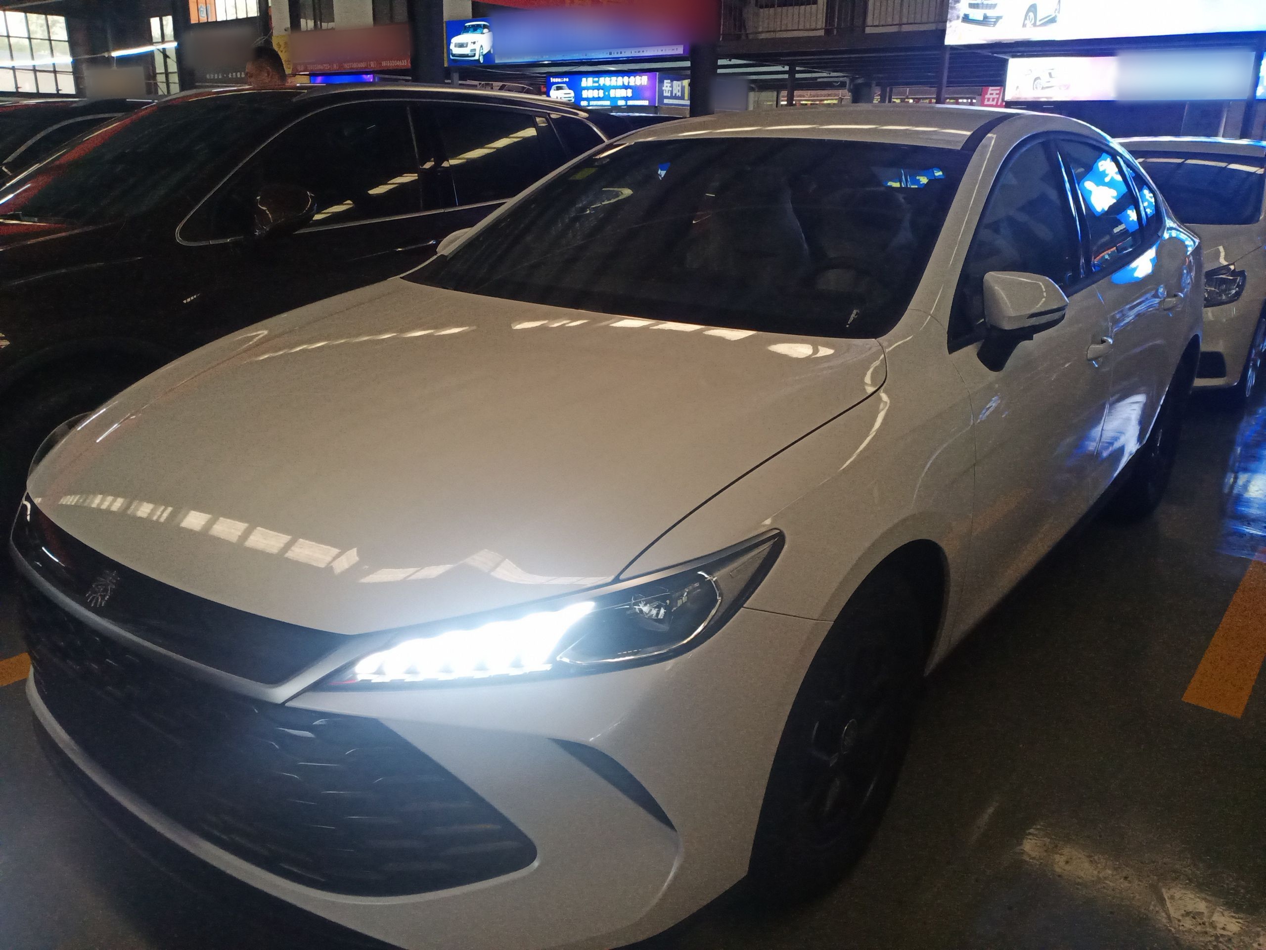 Parte inferior delantera