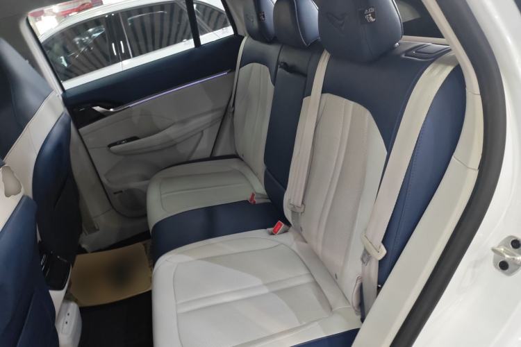 Used Roewe Jing 2022 2.0T Orca Edition