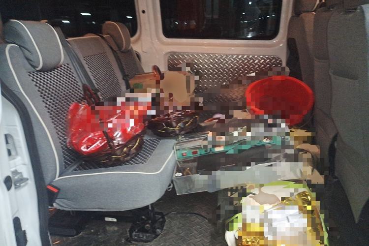 Used Ford Transit 2023 2.0T Diesel Manual Multifunction Commercial Vehicle Mid-axle Low-Roof Design 5/6 Seats Left Rear Seat