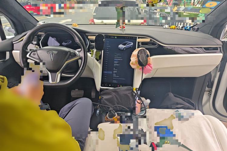 Used Tesla Model X 2017 X 100D Long Range Edition