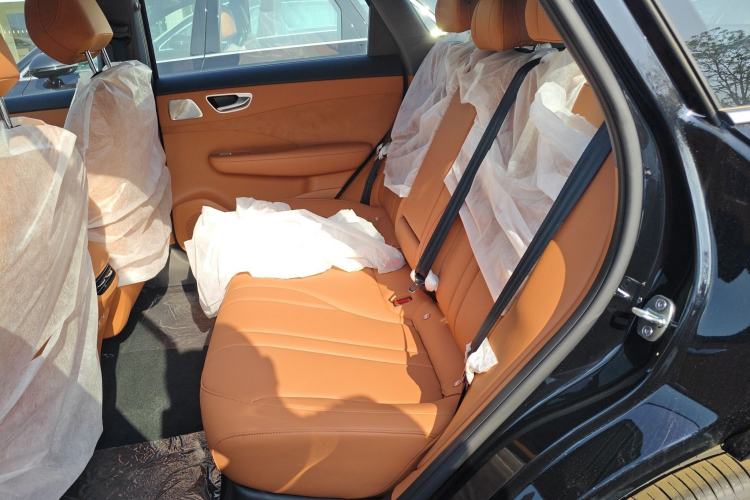 Used Hima H5 2025 Model Pure Electric Pro Left Rear Seat