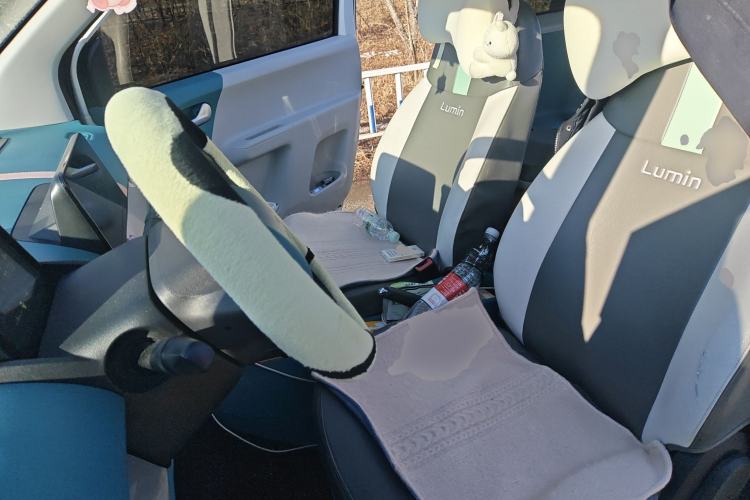 Used Qiyuan Lumin 2022 210km Sweet Edition