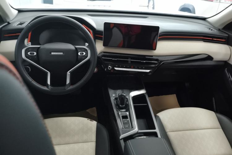 Used Haval LHERY 2021 High-Performance Version 1.5T Golden Rabbit
