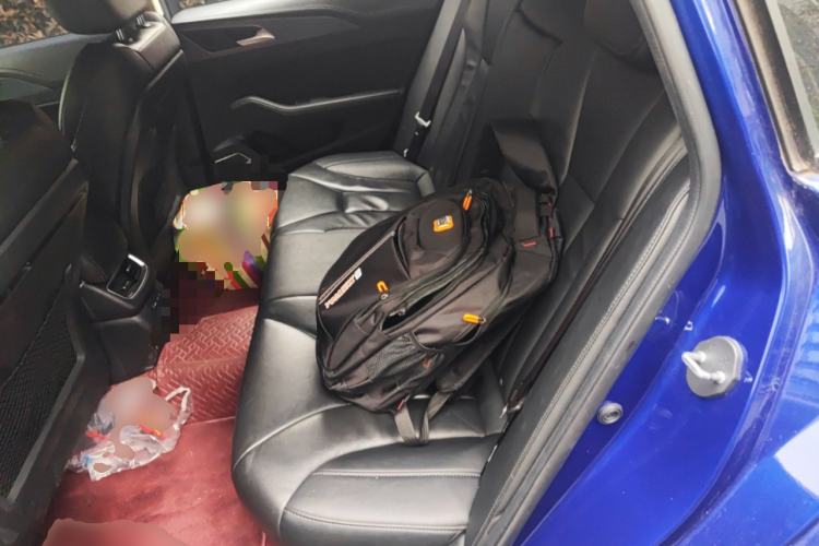 Used Hongqi H5 2022 Classic Model Facelift 1.5T DCT Qiyun Edition Left Rear Seat